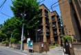 /album/phote/a20130508dojunkai-13-jpg1/